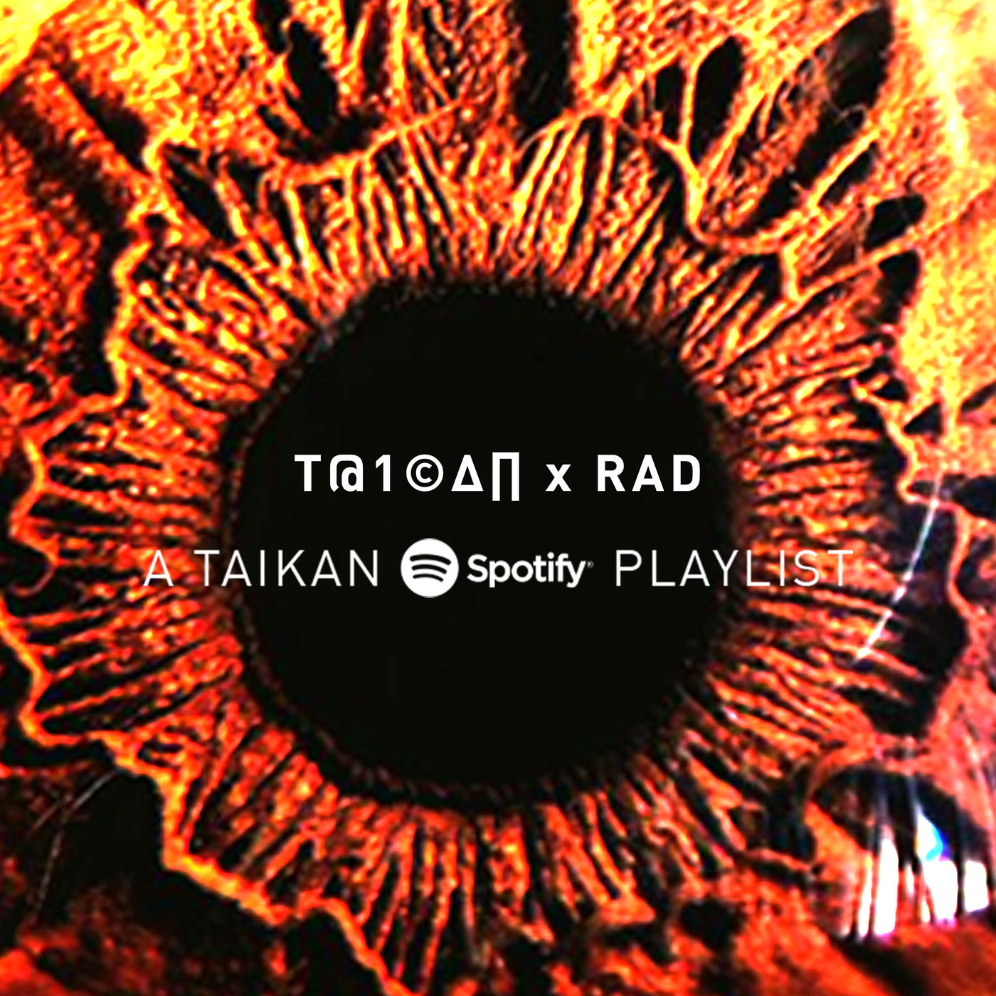 NEW TAIKAN SPOTIFY PLAYLIST